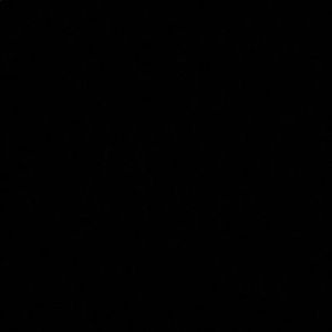 Meet your Posher, Aliah